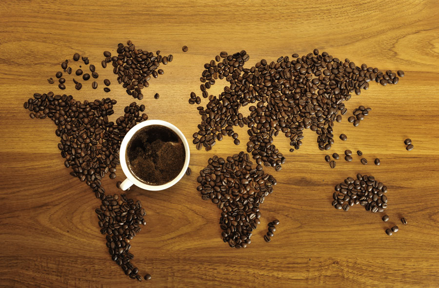 The Perfect Coffee 101: The Drip Pot