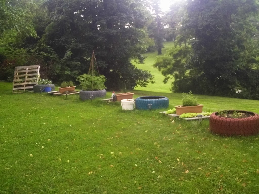 Adventures in Gardening: Our First Raised Bed Garden