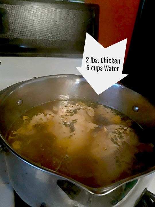 Chicken in water2