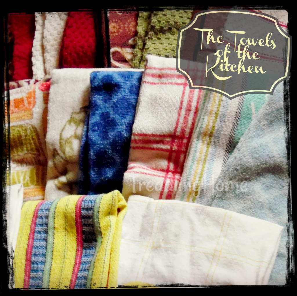Toweling: The Towels of the Kitchen