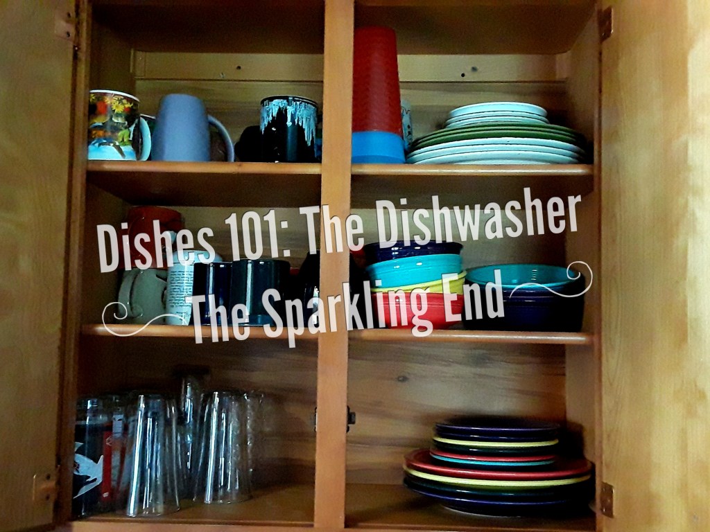 Dishes 101: The Dishwasher: The Sparkling End