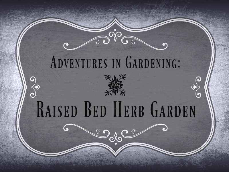 Adventures in Gardening: Raised Bed Herb Garden on the&nbsp;Homestead