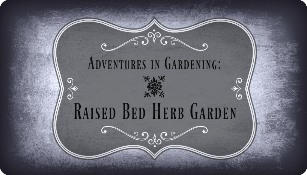 Adventures in Gardening: Raised Bed Herb Garden on the Homestead