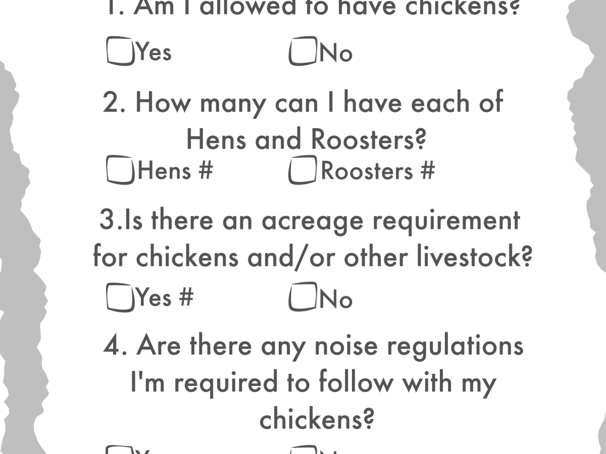 5 Questions You Need Answered Before You Get&nbsp;Chickens