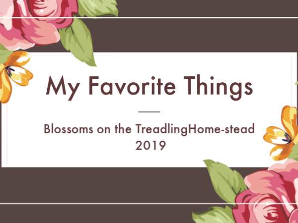 A Few of My Favorite Things: Spring&nbsp;2019