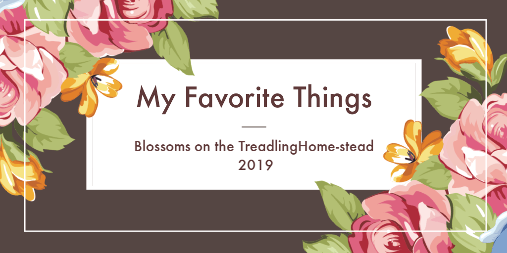 A Few of My Favorite Things: Spring 2019