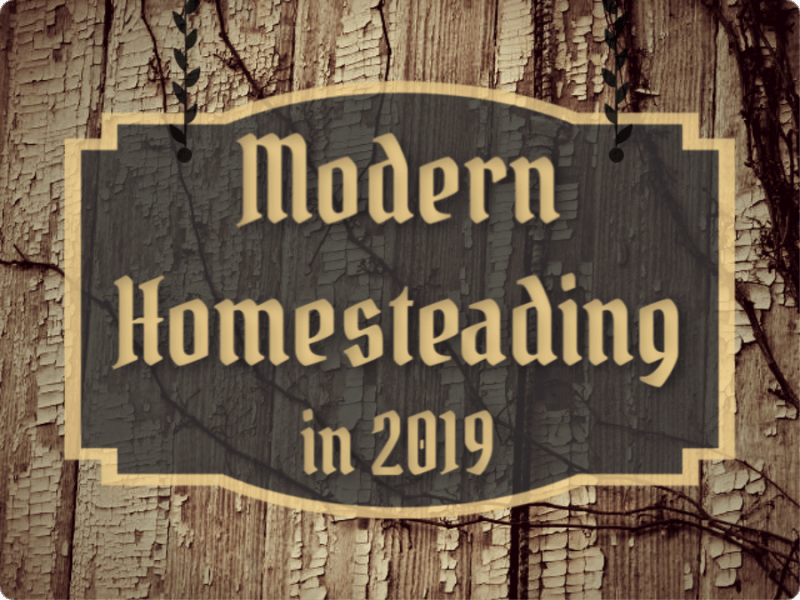 Modern Homesteading