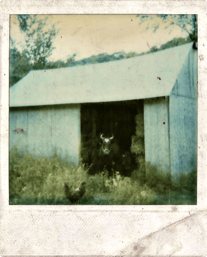 The Peters' Homestead circa 1983 in rural Western Pennsylvania.