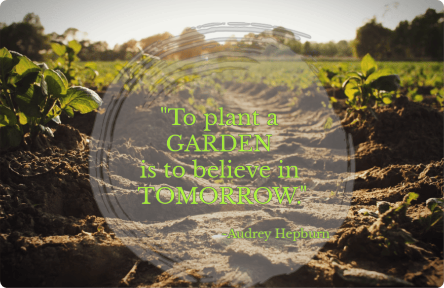 "To plant a garden is to believe in tomorrow" ~Audrey Hepburn