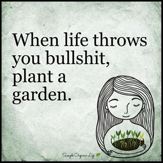 Source: https://12012.pinimg.top/quotes-of-the-day-17-pics-daily-lol-pics/