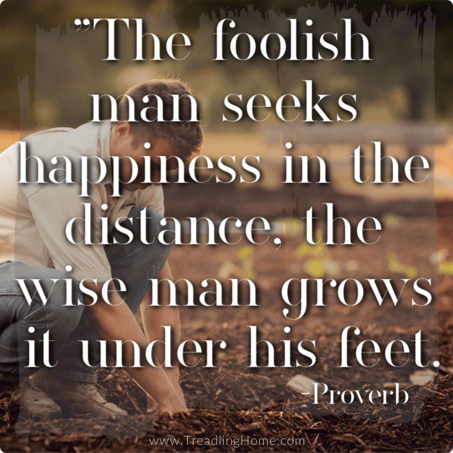 Gardening proverb