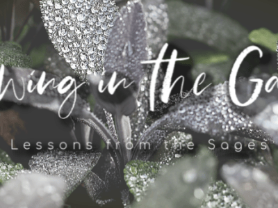 Growing in the Garden: Lessons from the&nbsp;Sages