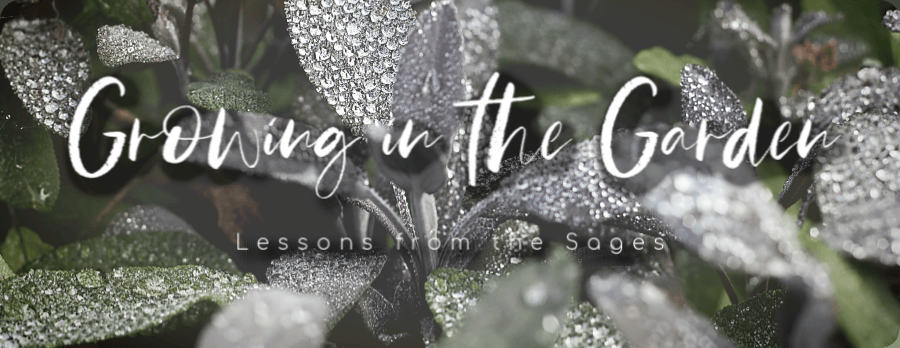 Growing in the Garden: Lessons from the Sages