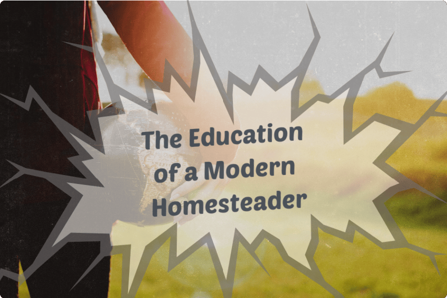 A Gardening Tale: From Back to the Land Flower Child to Modern Homesteader: Part 2