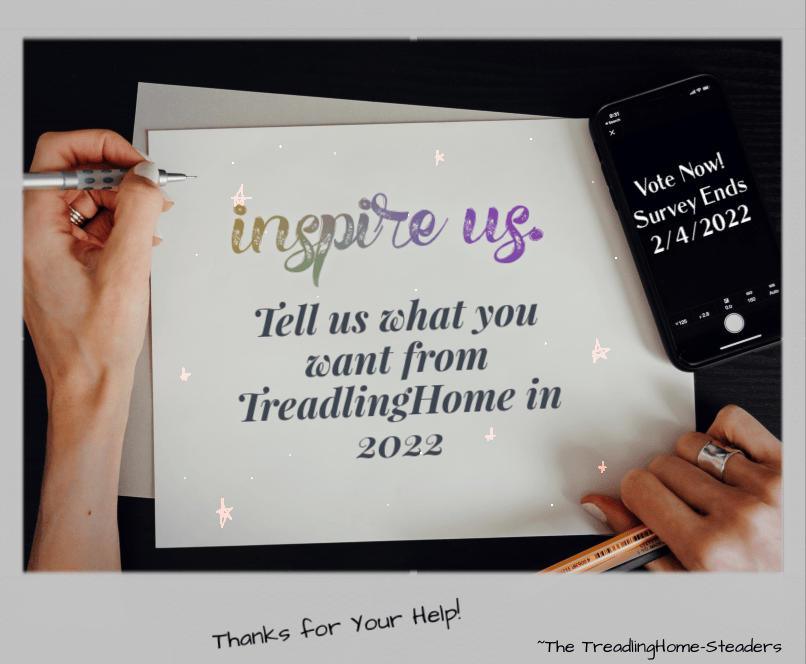 What do You Want from TreadlingHome in&nbsp;2022?